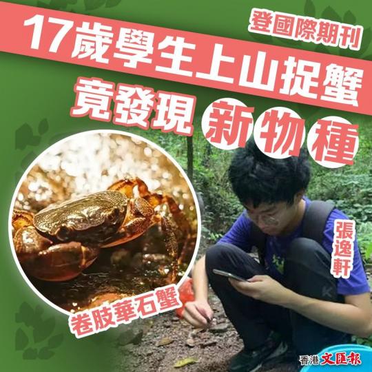 廣西17歲仔上山捉蟹　竟發現新物種...