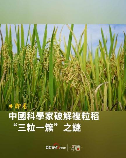 發現關鍵基因..........