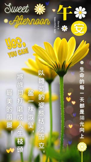 午安朋友，
像花兒一樣，
面向陽光，
展示力量！...