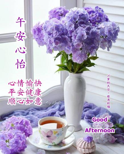 朋友午安
舒心如意！...