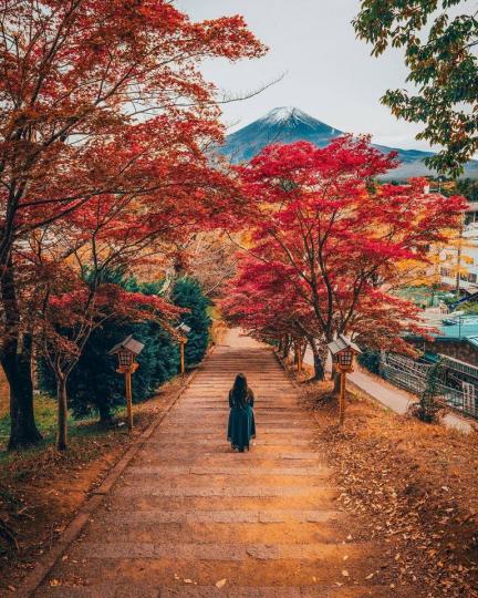 日本不能錯過的10個神社
👉https://com543.com/r/PZP8jOAg...