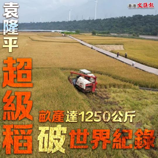 袁隆平「超級稻」 平均畝產創 世界新紀錄...