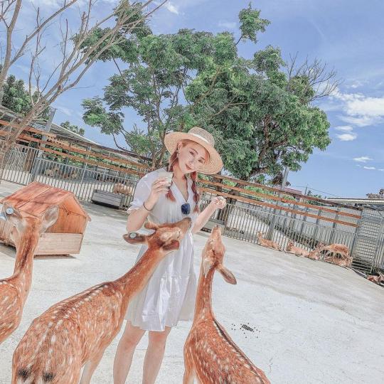 不只宜蘭，台灣外島也有小奈良...