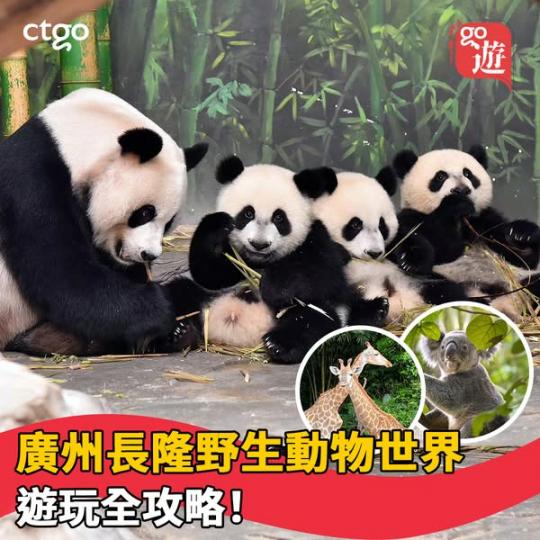 廣州都可以睇到500幾種野生動物...