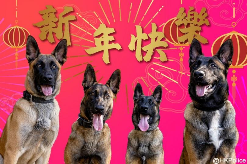 新春佳節，一眾機警又可愛嘅警犬同大家拜年，祝願大家身心康泰，牛年進步！...