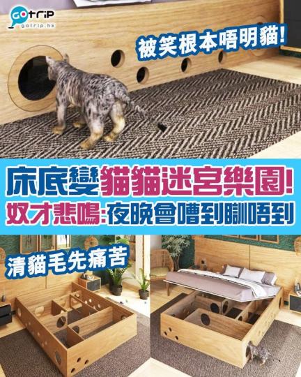 哥倫比亞專門設計貓咪商品嘅品牌「catlife」設計咗一款床,下面居然係一個貓貓迷宮,不過有貓奴表示根本唔User-friendly,全因為主子全晚行嚟行去實在好煩,而且塞滿貓毛真係好難清潔,簡直悲鳴... 哥倫比亞專門設計貓咪商品嘅品牌「catlife」設計咗一款床,下面居然係一個貓貓迷宮,不過有貓奴表示根本唔User-friendly,全因為主子全晚行嚟行去實在好煩,而且塞滿貓毛真係好難清潔,簡直悲鳴...