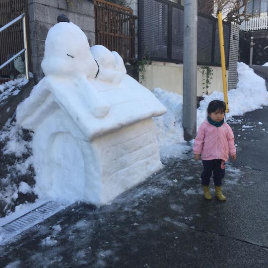 日本民眾的「推雪人大賽」超級狂！...