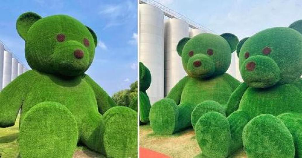 巨大的綠草熊熊超療癒...