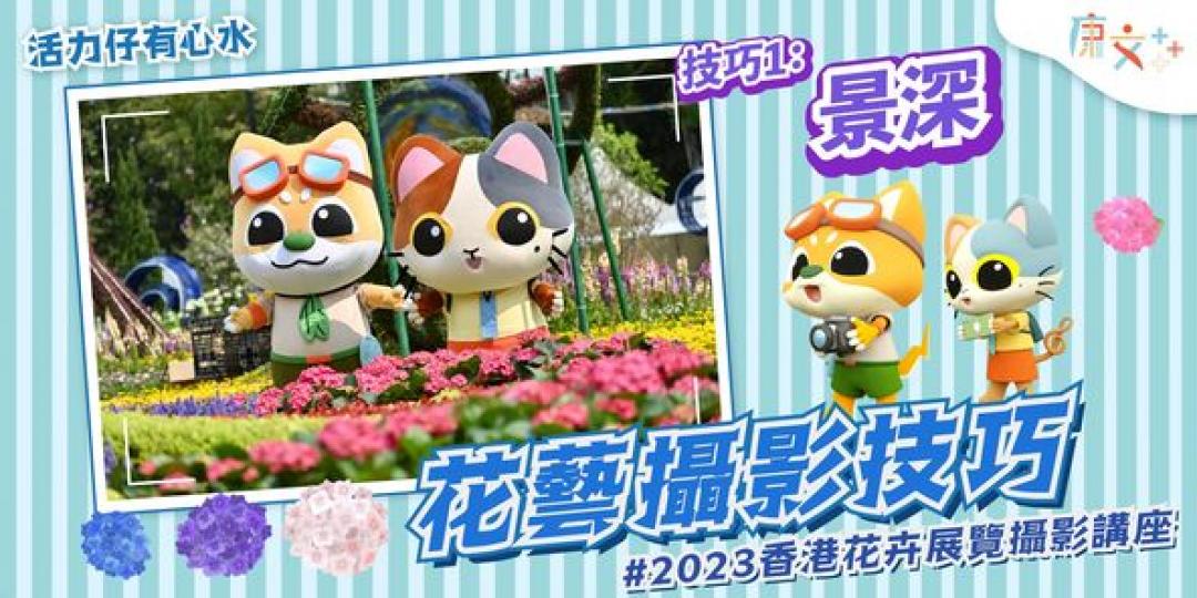 活力仔有心水 – 花藝攝影技巧...