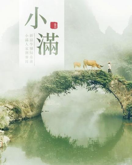 二十四節氣——小滿......