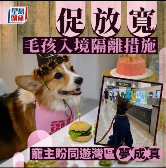 毛孩都北上消費.......