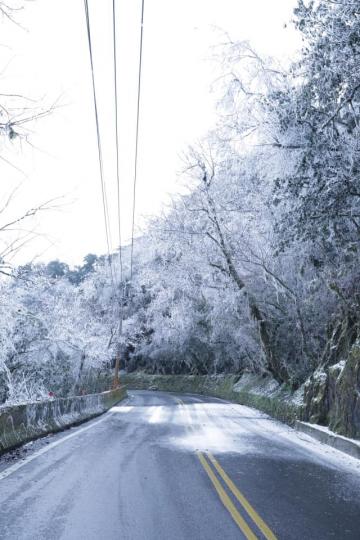這種天氣就是要賞雪阿
❄中橫公路台8線「森林枝枒覆蓋雪白結晶」，畫面美到宛如置身冰雪奇緣場景...