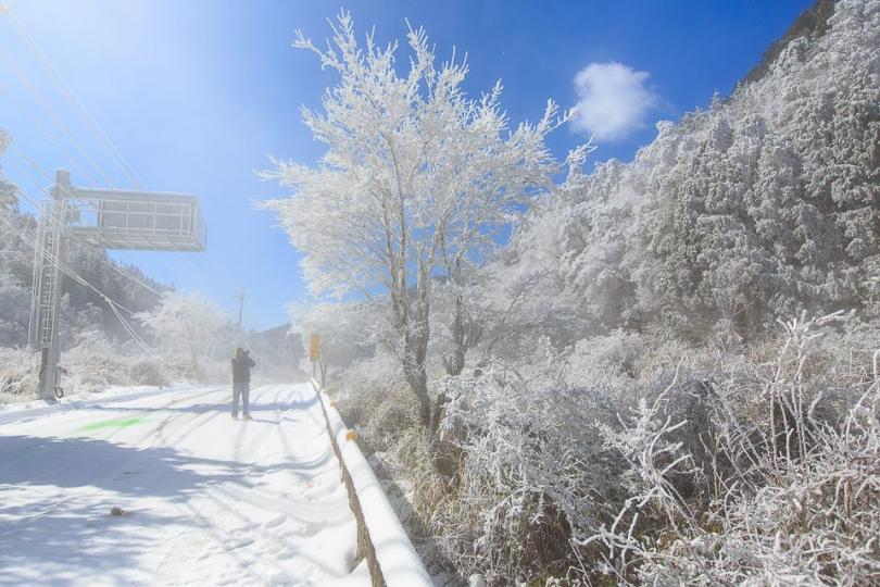 思源埡口的純白雪樹配上湛藍天空...