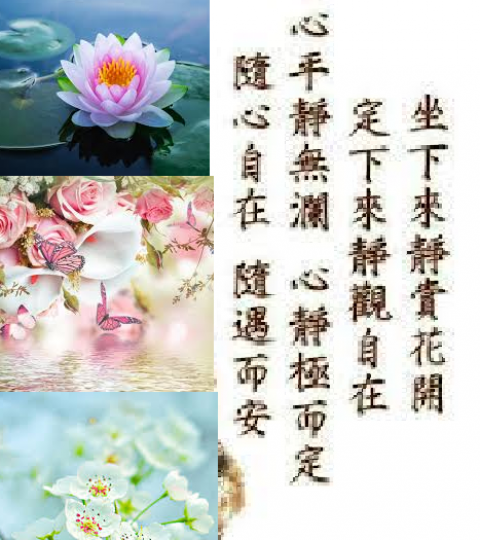 靜賞花開, 感自在,
隨遇而安!...