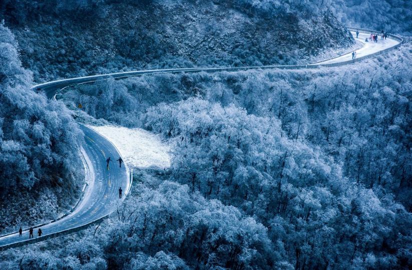 【大熊山國家森林公園的路上】姜超雄／攝...