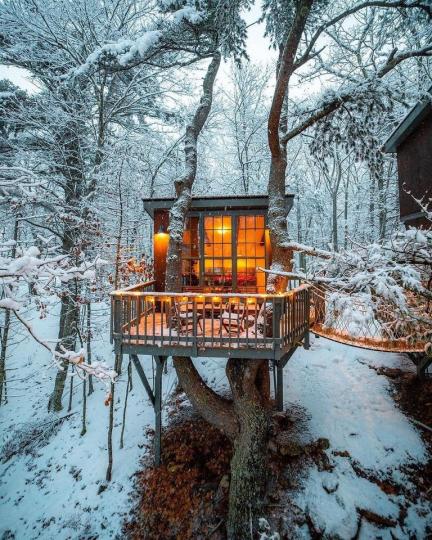 想過住在大自然中的一片雪景森林嗎？...