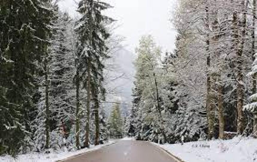 眼前雪白一片真的好美......