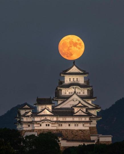 被封為「日本最早世界遺產」的姬路城...