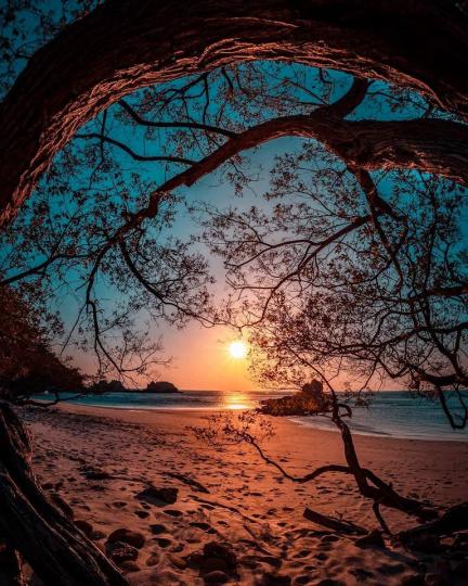 哥斯大黎加的夕陽配大樹...