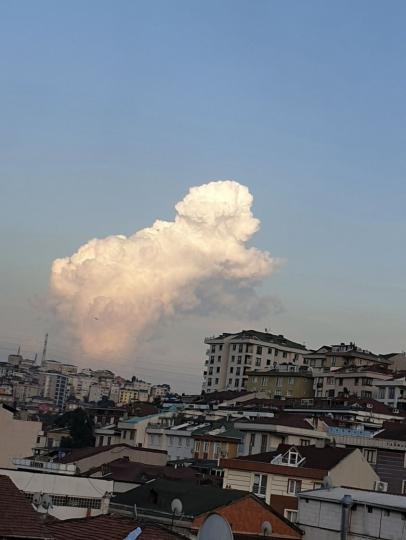 藍天裡出現了軟綿綿的大片雲朵...