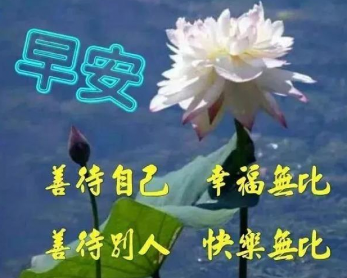 大家好: 
善待自己, 幸福無比;
善待別人; 快樂無比;
善待生命, 健康無比....