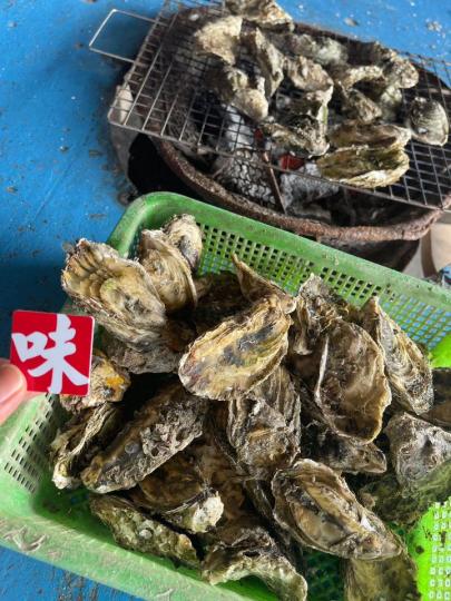<大台灣>深度遊10天 4至5月出發...
