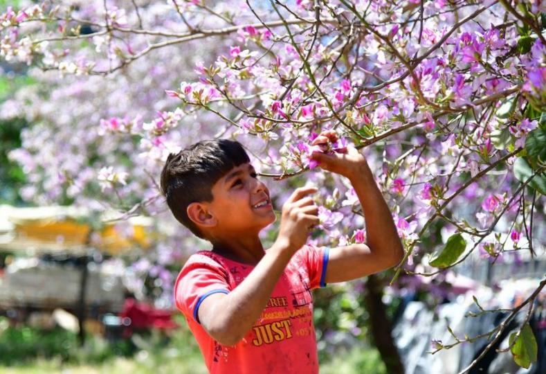 4月27日，儿童在叙利亚首都大马士革享受春日时光...