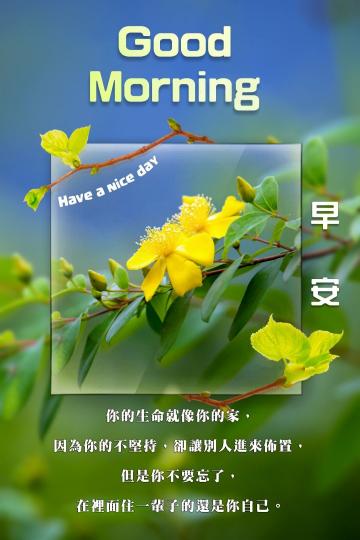 各位朋友早安,
祝福美好,
做更強壯的自己！...