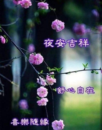 老友記晚安,舒心
吉祥聖誕夜...