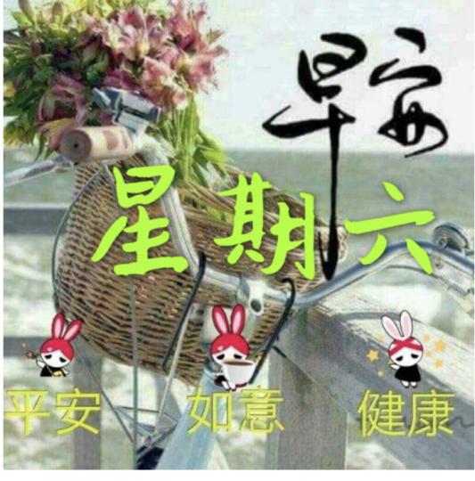 早晨，天氣很好，不防往山上走走，吸一口清新的空氣...
