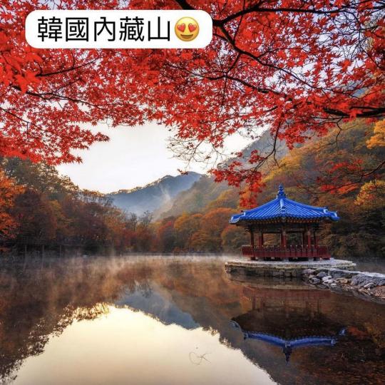 出走🧳好時機 只因紅葉🍁很美...