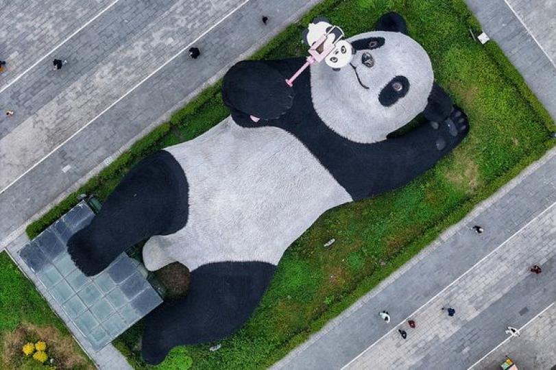 130噸大熊貓雕塑亮相成都...