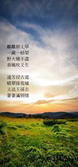 赋得古原草送别......