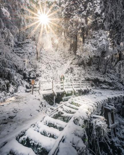太平山的見晴古道落下了柔柔的雪，霧散開的瞬間透進暖陽，是最美好的相遇...