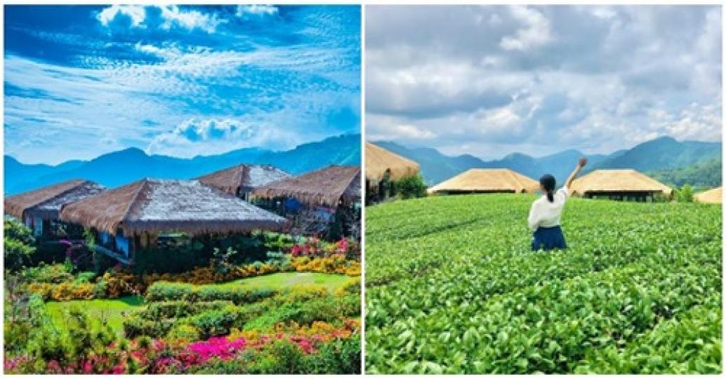 一望無際的優美茶園令人心曠神怡～可以來趟放鬆又有意義的旅程...