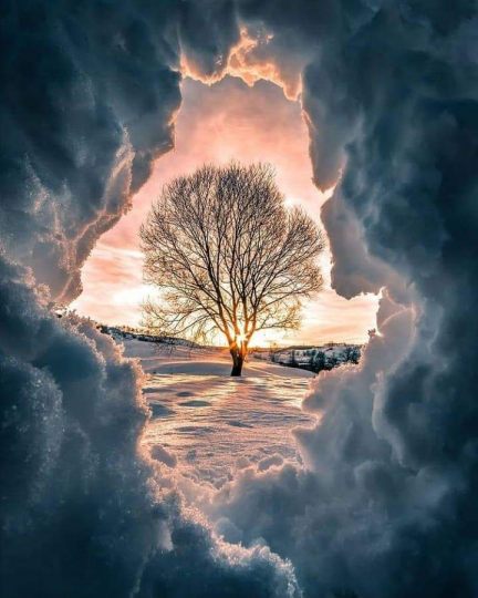 雪堆中看見太陽映照著......