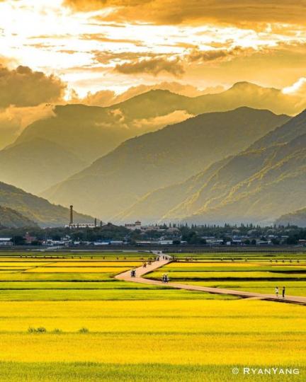 池上的美，在夕陽下更能展現出它的美...
