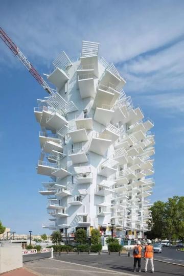 路上出現「超像巨樹的奇特建築」外觀好怪異...