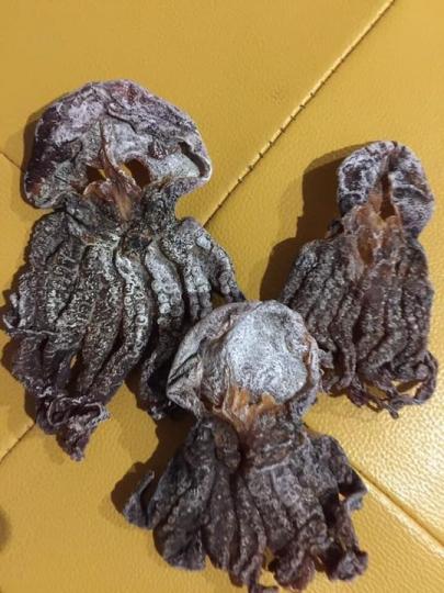 家裡發現「外星人乾」怪異食材...