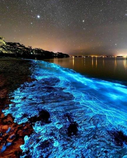 海岸襲來夢幻螢光藍海浪......