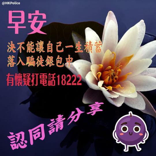 【 提提長輩 • 溫馨提示18222 】
提子溫馨提提您：當有陌生人 、新相識嘅人、甚至未見過嘅人用唔同嘅理由要您畀錢佢，除咗問身邊人問意見，您仲可以打18222問警察。...