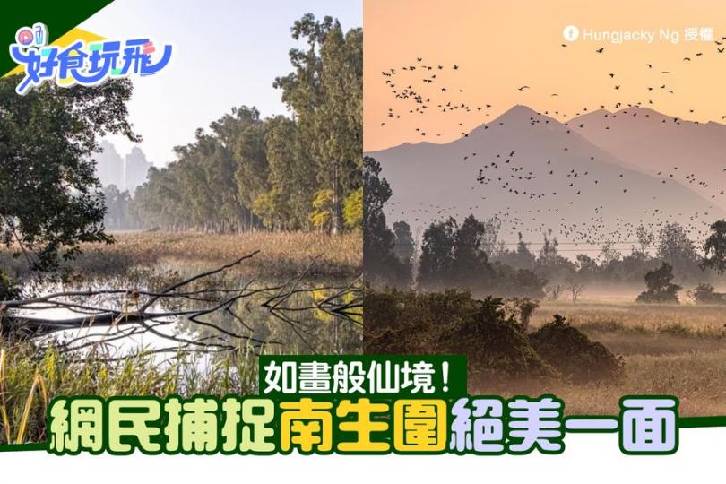 南生圍攝影作品，靚到唔少網民都話如同世外桃園！...