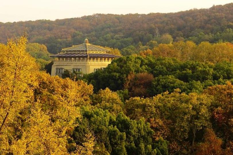 Colorful leaves decorated Wuhan University...
