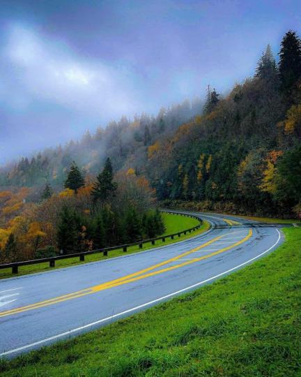 Magical nature at Smoky mountain National park USA...