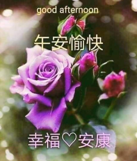 各位朋友午安,
擁有幸福安康,
自然心花怒放！...