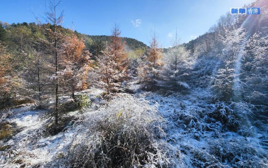 陝西平利：秋雪秋景美如畫...