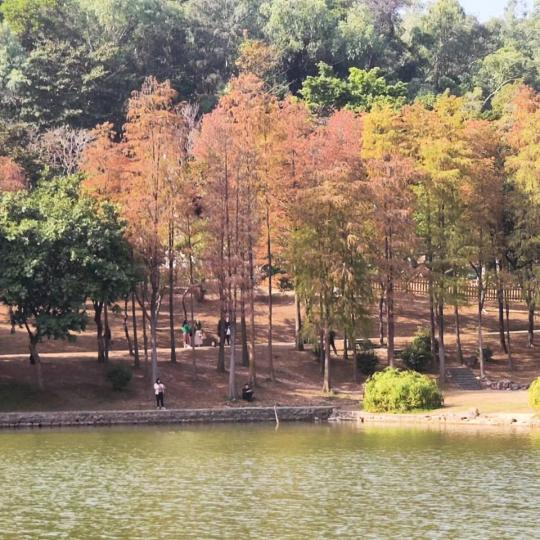 蓮花山公園 蓮花山公園......