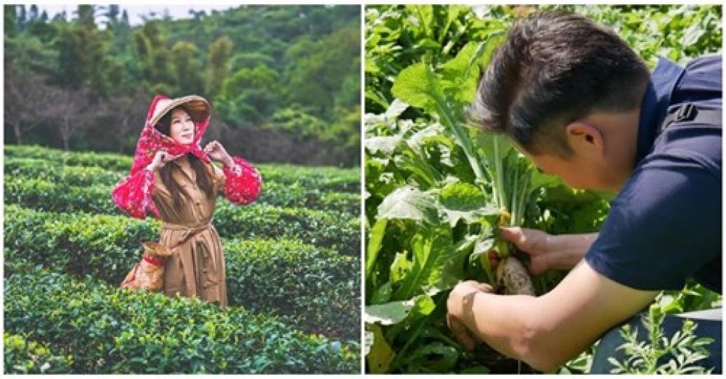 大家有親手拔過蘿蔔嗎？假日就該親近大自然呀...