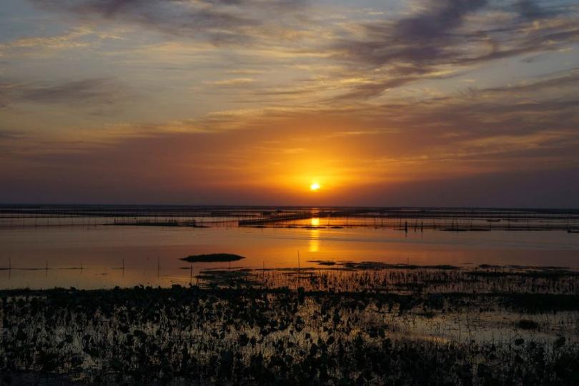 【高郵湖日出】
新一年，為大家送上江蘇揚州高郵湖的日出美景，希望大家如朝陽般步步高升！
姜建／攝...