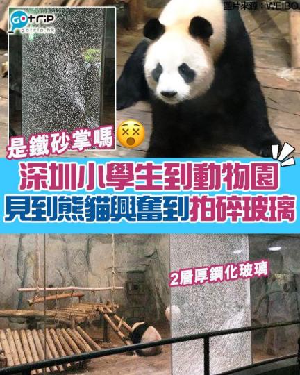 幸而玻璃有兩層厚，玻璃並未摔落。有網友笑言這是鐵砂掌嗎...